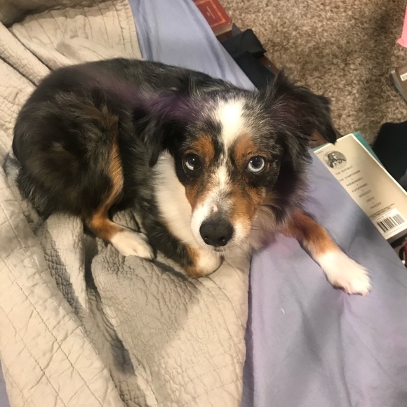 Meet your Posher, Harry - Picture 8 of 12